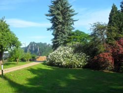 Rhododendrenpark in Rathen