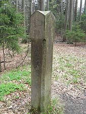 Hohnstein Brandstraße, Forstsäule am Forstgraben