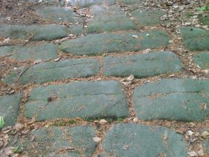 Forstgraben bei Hohnstein