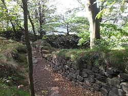 ehemalige Burganlage auf dem Lilienstein