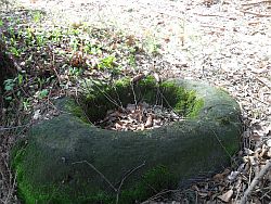 Pferdetrnke neben dem Franzosenborn