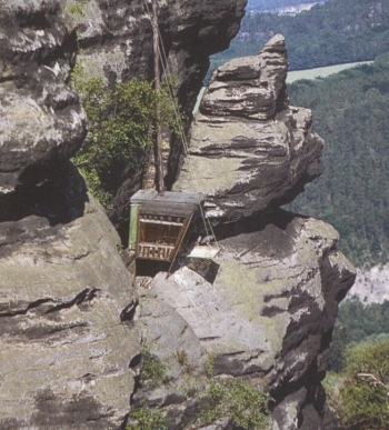 Auswilderung der Wanderfalken am Lilienstein