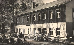 Lilienstein Gaststätte (alte Postkarte)